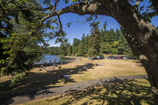 Seward park