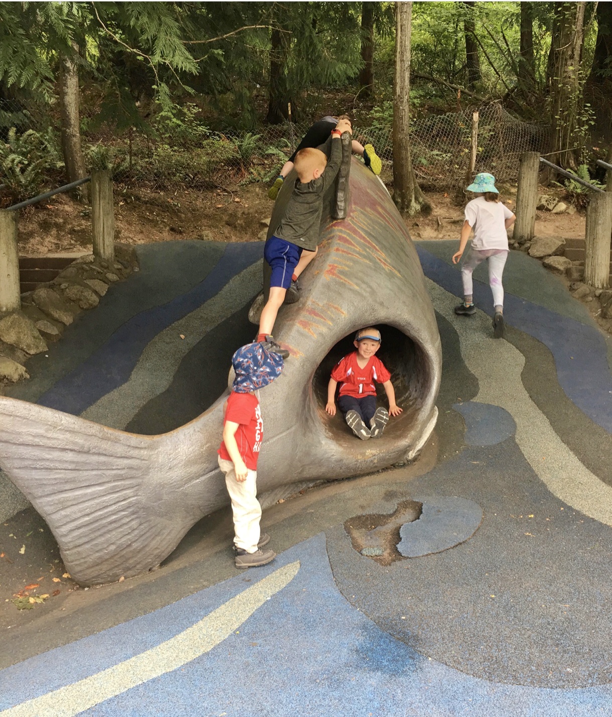 Carkeek park Seattle beach