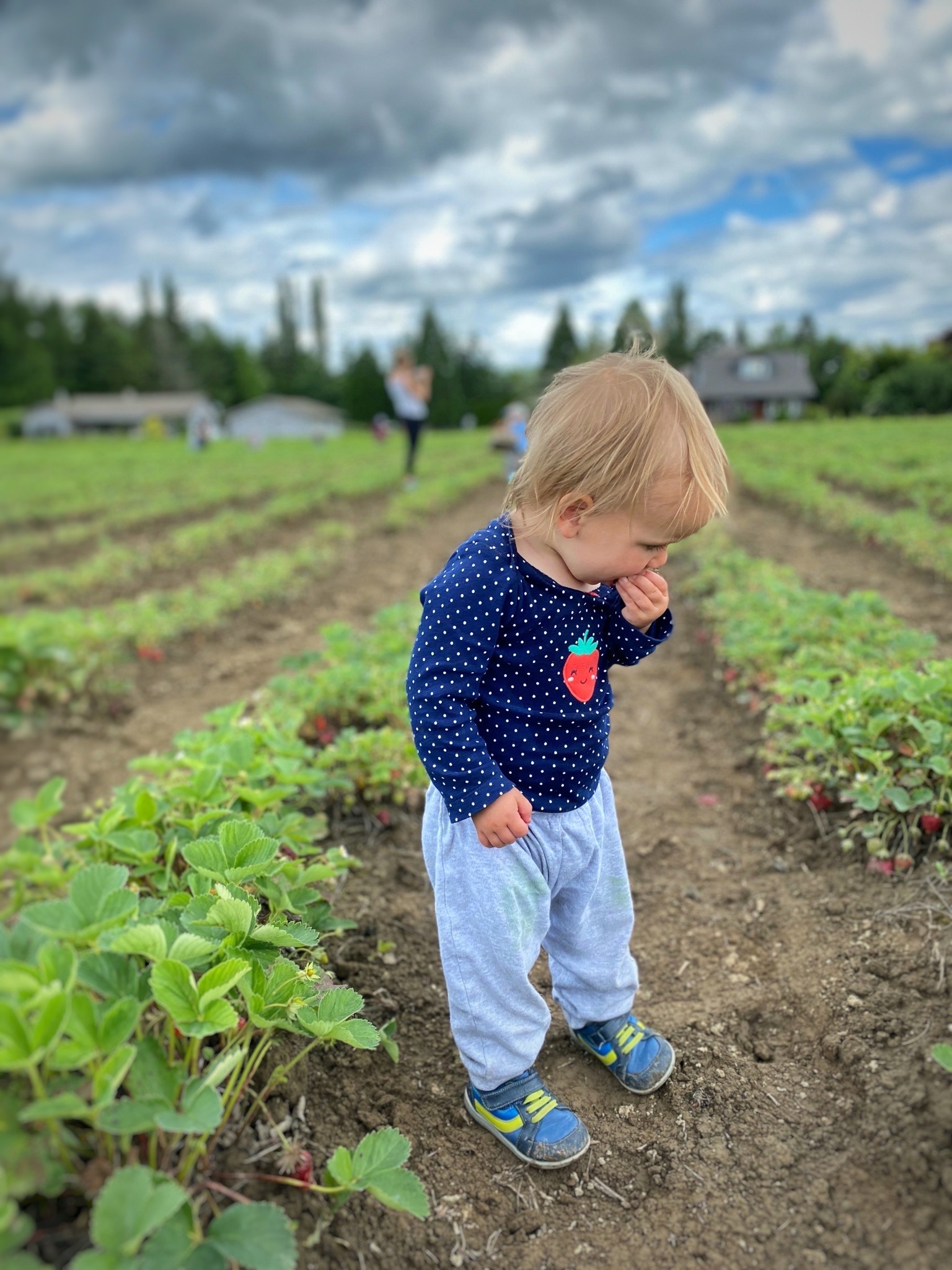 Eating berries