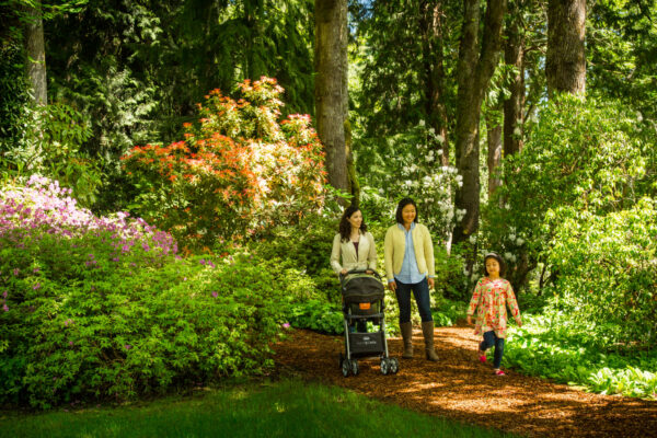 Keith Brofksy_Bloedel2-6133