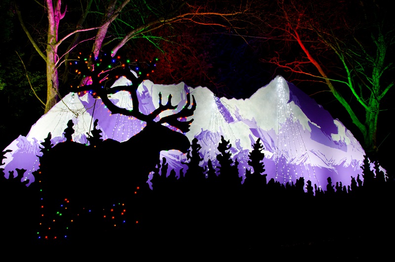 Snohomish Freestyle Christmas Lights Cruise 2022 15 Fab Holiday Light Displays | Seattle's Child