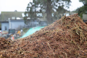 pile of compost