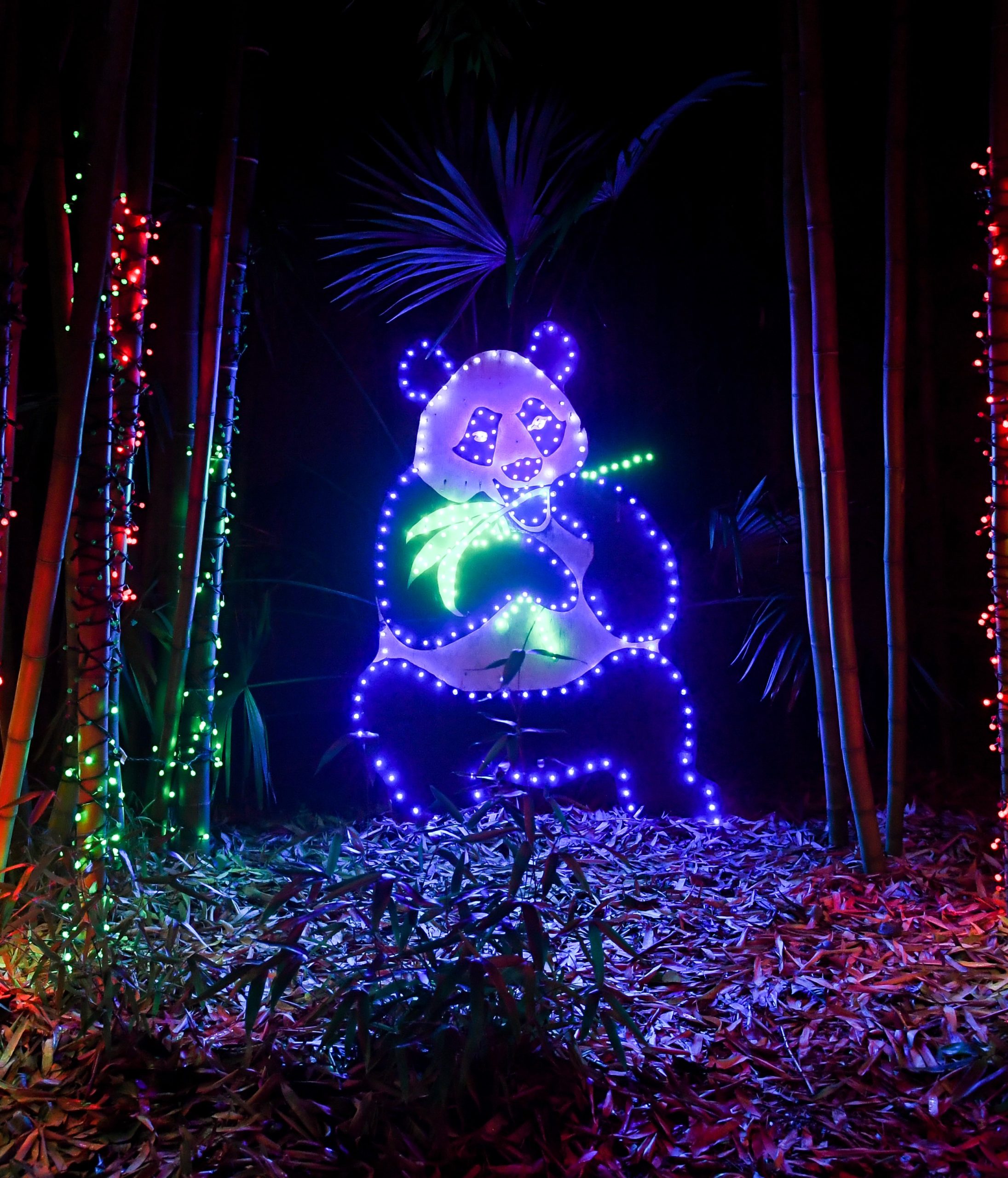 Holiday Light Displays In And Around Seattle 2020 Seattle S Child