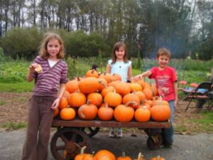 Kids and pumpkins at Carnation Fars