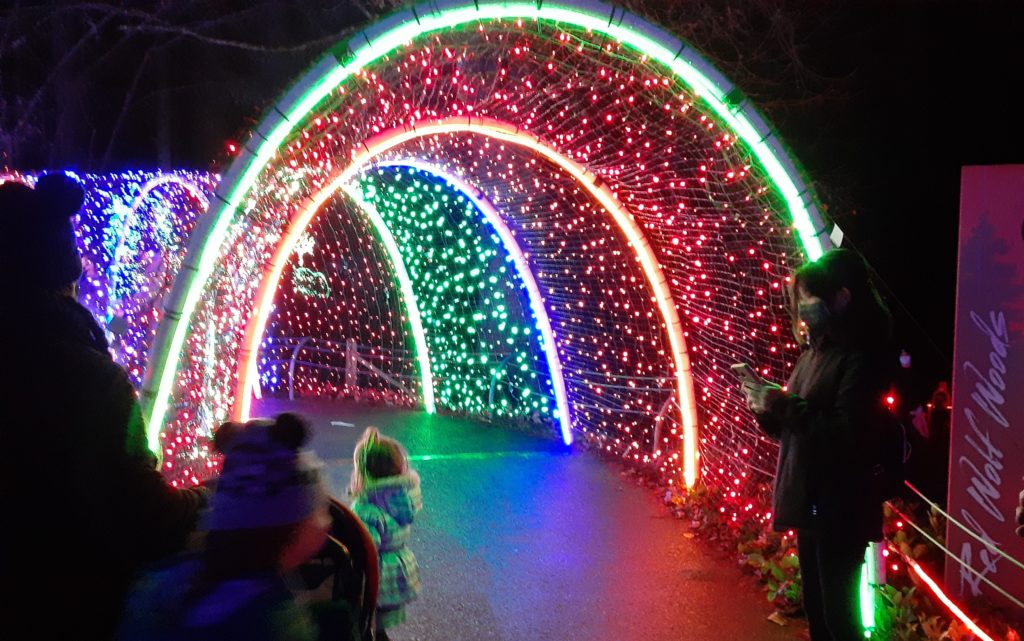 ZooLights parent review