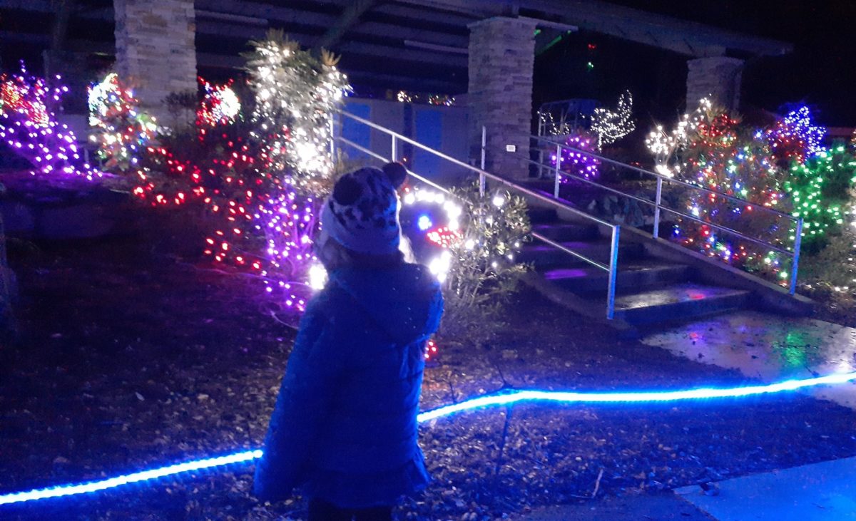 ZooLights parent review