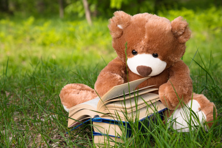 HiCap Amplified piece teddy bear with books