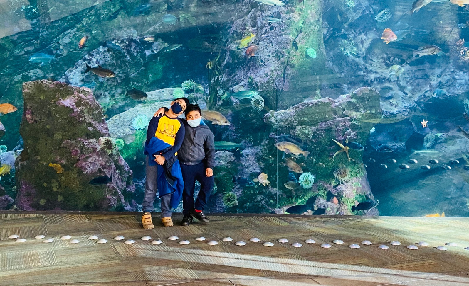 Seattle Aquarium