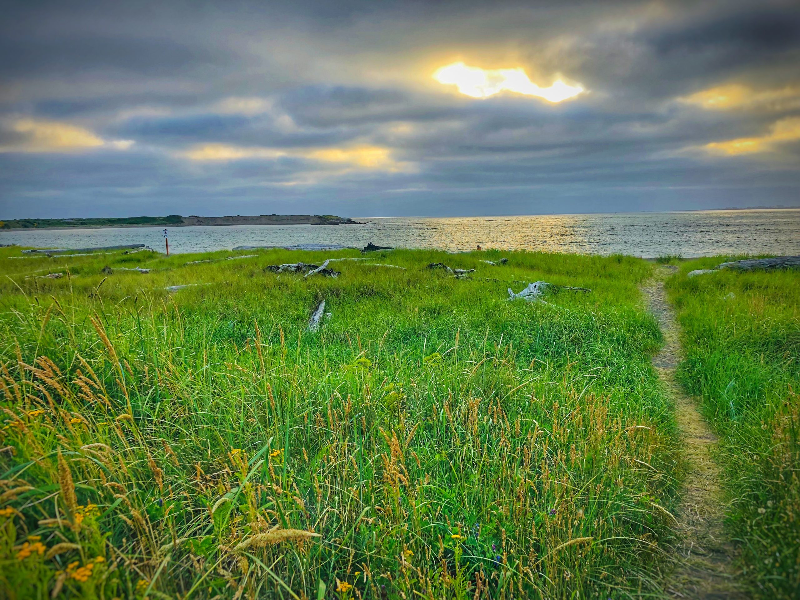 Half moon bay Westport