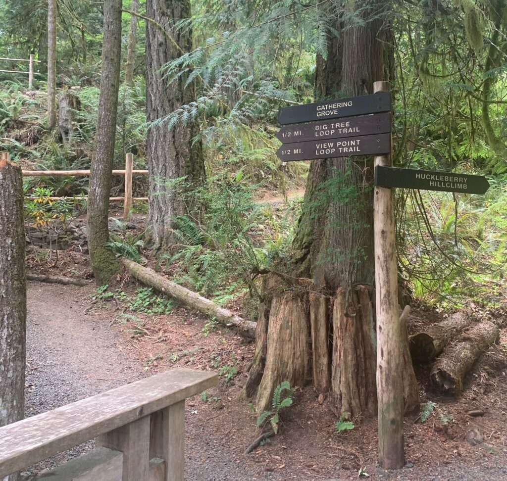 Alderbrook Resort & Spa