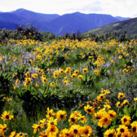 Discovery Pass State Parks