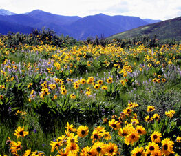 Discovery Pass State Parks