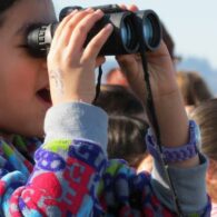 Puget Sound Birdfest