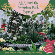 Volunteer Park Model Holiday Train