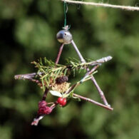 Bellevue Botanical Garden Winter Stars Workshop