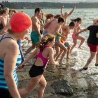 normandy park polar plunge