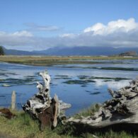 first day hike spencer spit state park