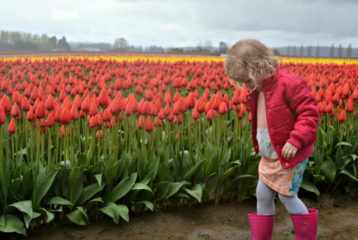 Chil in Rubber Boots in Tulips at Tulip Town[3]