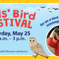 bird festival