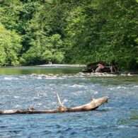 salmon seeson flaming geyser