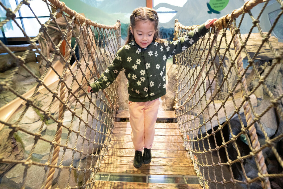 Little girl crossing a rope bridge at the Zoomazium indoor play area at Woodland Park Zoo in Seattle