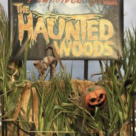 hauntedwoods maris farms