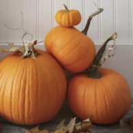 The Marketplace at factoria