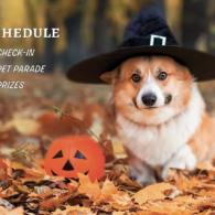 Howl of ween pet parade