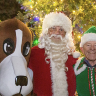 Holiday fair and tree lighting