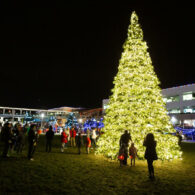 google holiday lights