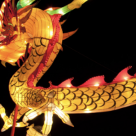 lunar new year dragon