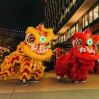 Lion dance