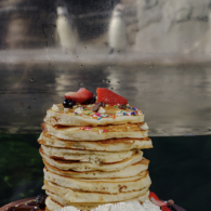 Pancakes with penguins