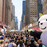 Panda fest