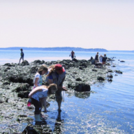 Seattle aquarium beach naturalist flickrer