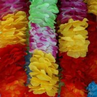 hawaiian-lei-3552792_640