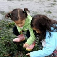 free programming seattle aquairum