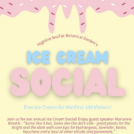 ice cream social