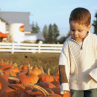 Fall festival Maris Farms.