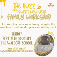 Seattle waldorf school