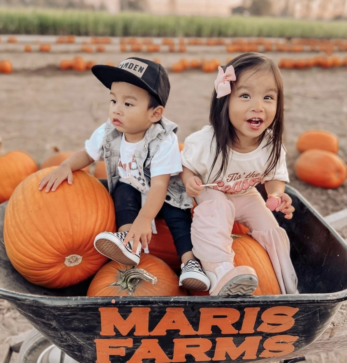 Two kids sitting on pumpkins in a wheelbarrow at Maris Farms in Buckley, Washington