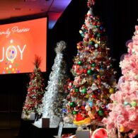 family christmas preview