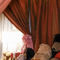 teddy bear suite