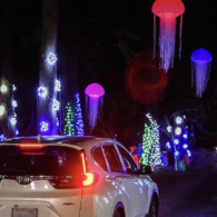 Lights of Christmas Stanwood