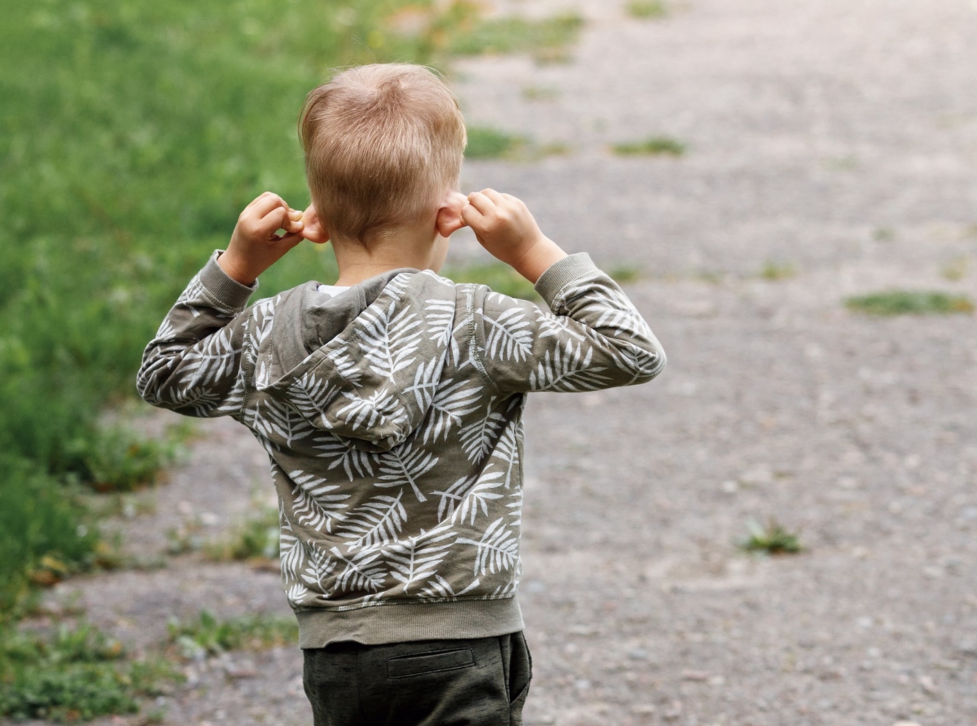 Washington political news for families blower